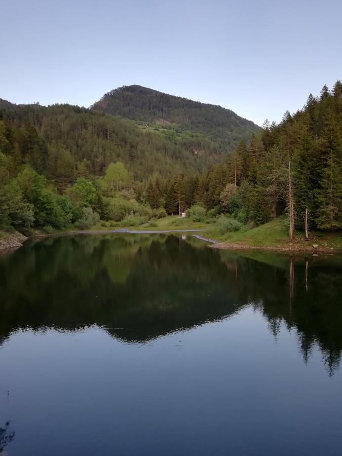 Вілла Vikendica Moonlight Zaovine Екстер'єр фото