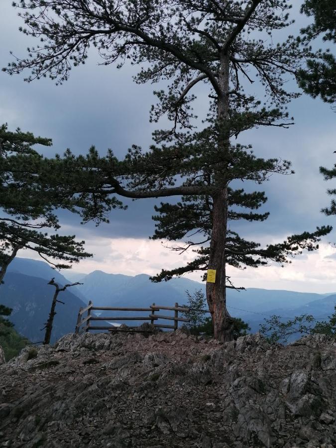 Вілла Vikendica Moonlight Zaovine Екстер'єр фото