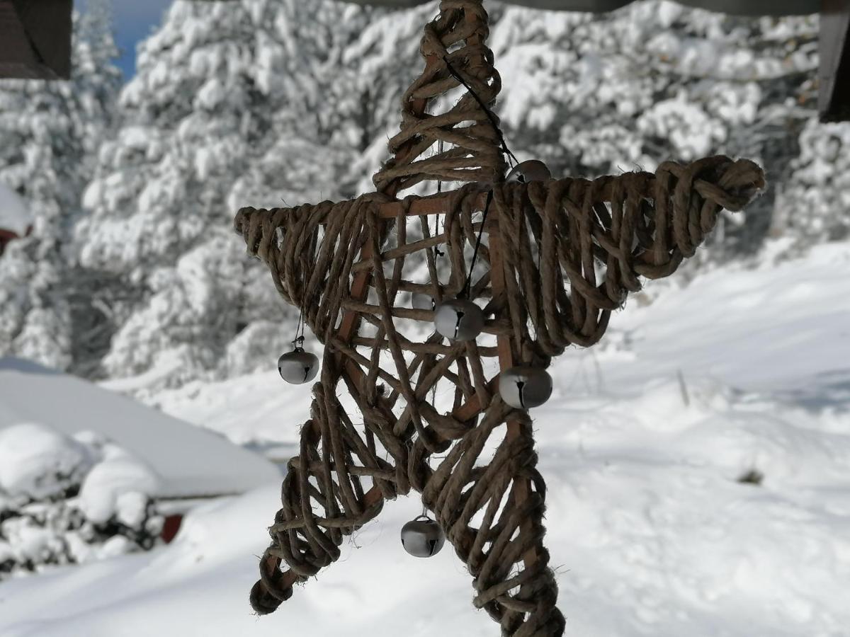 Вілла Vikendica Moonlight Zaovine Екстер'єр фото
