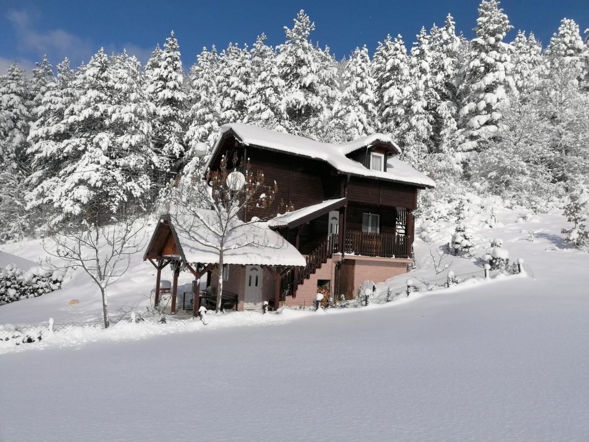 Вілла Vikendica Moonlight Zaovine Екстер'єр фото
